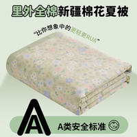  AIDLI 里外全棉 夏凉被 罗宾格 150x200cm