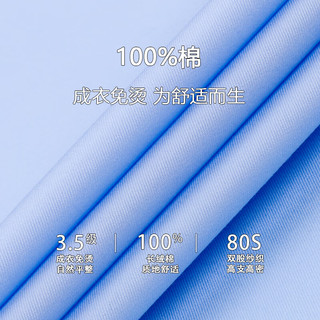  FIRS/杉杉 免烫 男士衬衫