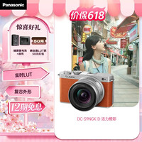 Panasonic S9（18-40mm F4.5-6.3）套机（Panasonic） 全画幅微单 实时Lut 滤镜直出 连接app极速分享-橙 橙色