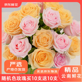 京东鲜花 Jingdong 京东鲜花 玫瑰花 20枝 随机色