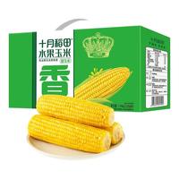 88VIP：十月稻田 开袋即食 水果甜玉米