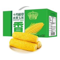 十月稻田 开袋即食 水果甜玉米