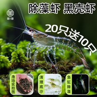 顺丰黑壳虾除藻观赏虾活虾淡水活体饲料草缸清洁好养造景缸工具虾
