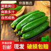 寿光 农家自种水果黄瓜 4.8斤