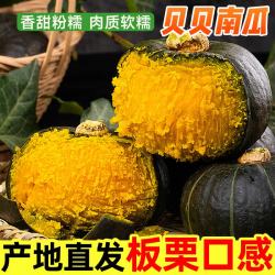鲜福林 云南贝贝南瓜 板栗口味 4.5斤 单果200g