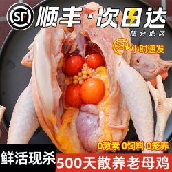 大用好味道 山东聊城 老母鸡 1000g