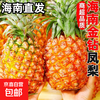 京喜 海南 金钻凤梨 单果0.8-1.3斤 新鲜大果天地盖礼品盒