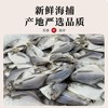  苏渔海岸 新鲜 银鲳鱼