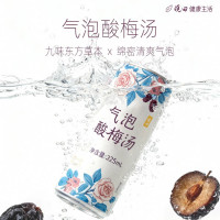 晓田 桑葚酸梅汤气泡水325ml*24瓶