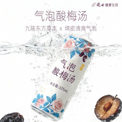 晓田 桑葚酸梅汤气泡水325ml*24瓶