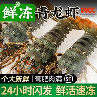 轩农谷 中国大陆 鳌虾 150g 15-25cm