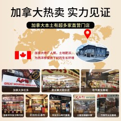 大山行 泡参粒头