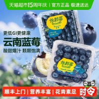 88VIP：Driscoll's 上门 蓝莓 中果 4盒 单果14-17mm