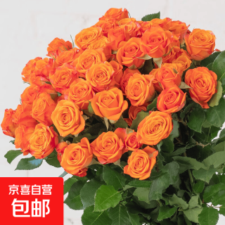 移动端、京东百亿补贴：橙芭比 多头泡泡 鲜花 10枝