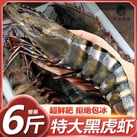 虾有虾途 黑虎虾超大海虾鲜速冻竹节虾海鲜水产大黑虎虾斑节虾原盒进口海捕