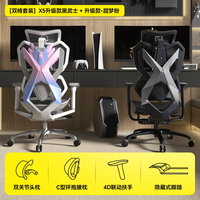  XiaoQi/骁骑 人体工学 电竞椅