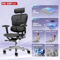  Ergonor/保友办公家具 人体工学设计 人体工学椅 黑色网