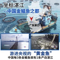  潮夫道 新鲜冷冻 金鲳鱼