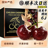  铂果 速达 樱桃