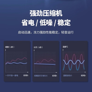 先科 S192 一级能效 银色 102L 双门冰箱
