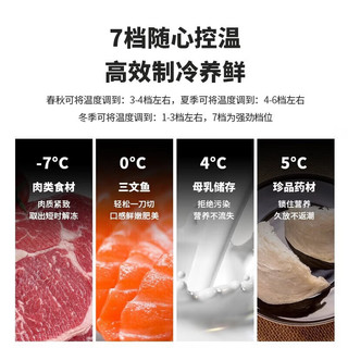 先科 S192 一级能效 银色 102L 双门冰箱
