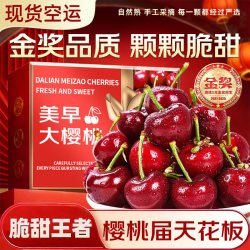 四叔公果蔬 中国大陆 美早车厘子 5斤