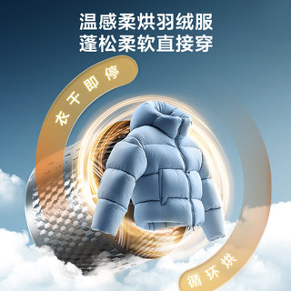 LittleSwan 小天鹅 小乌梅3.0高奢版 TD12SC28MAX 洗烘一体机 12kg