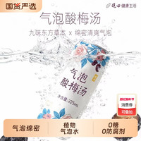  晓田 0糖0代糖0防腐剂 桑葚酸梅汤气泡水