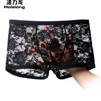 活力龙 网纱全透明内裤男性感蕾丝平角裤