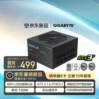 技嘉 猎鹰双白金牌氮化镓750W全模组电源80PLUS/PPLP白金认证/两段式OPP智能保护 EG750PM PG5
