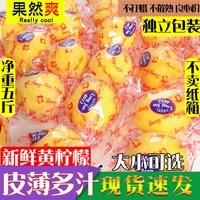 果然爽 四川安岳黄柠檬 5斤