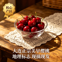 亲佳美 大连美早樱桃 4.8斤（净重）