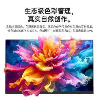 FBV R16K 240Hz高刷触控 黑色 16英寸 电脑显示器
