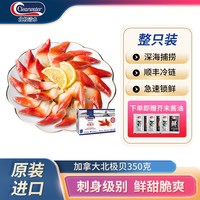 Clearwater 加拿大北极贝冷冻海鲜刺身整盒350g原装整只