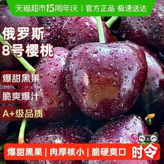 京运达 大连俄罗斯八号大樱桃
