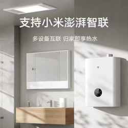米家 小米米家恒温零冷水燃气热水器JSLQ27-MJ11 16L