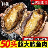 鲜驰 中国大陆 鲜活冷冻鲍鱼 500g