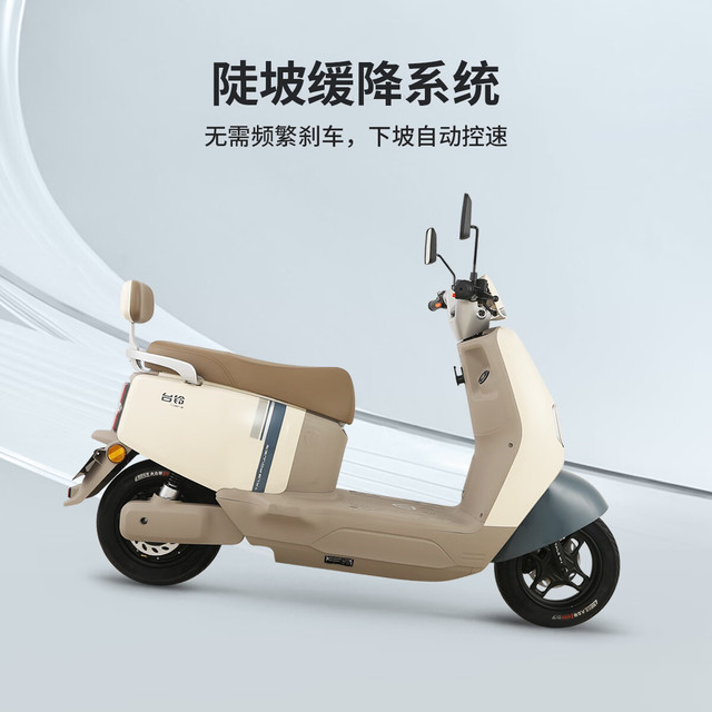 台铃 长续航86KM 电动摩托车 铅酸电池 双碟刹  浅松绿 72V26AH