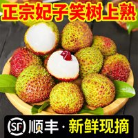 净态 无锡水蜜桃 3斤 16g+单果