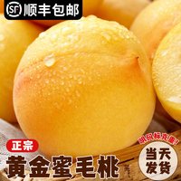 顾一 顺丰黄桃5斤新鲜水果时令应当季整箱桃子大果水果蜜桃10脆桃包邮