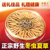 挖草人 西藏野生冬虫夏草官方旗舰店正品100根圆盘虫草礼盒装干货