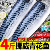 鲜驰 挪威青花鱼片 500g 5片装 真空包装