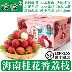 储褚 海南 桂味荔枝 2斤礼盒装