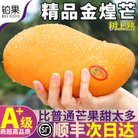 铂果 海南金煌芒 10斤 A级