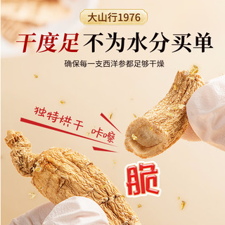  大山行 原支 西洋参