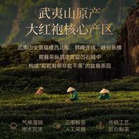  武夷山大红袍 香高大众口味 武夷岩茶