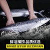  百库 鱼类生鲜
