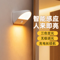 楼王 人体感应充电灯门口入户无线壁灯免布线