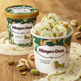 哈根达斯隐藏款：哈根达斯 开心果冰淇淋 460ml
