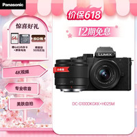 Panasonic DC-G100MGK-K M4/3画幅 微单相机 黑色 12-32mm F3.5 ASPH 变焦镜头+G 25mm F1.7 定焦镜头 双头套机